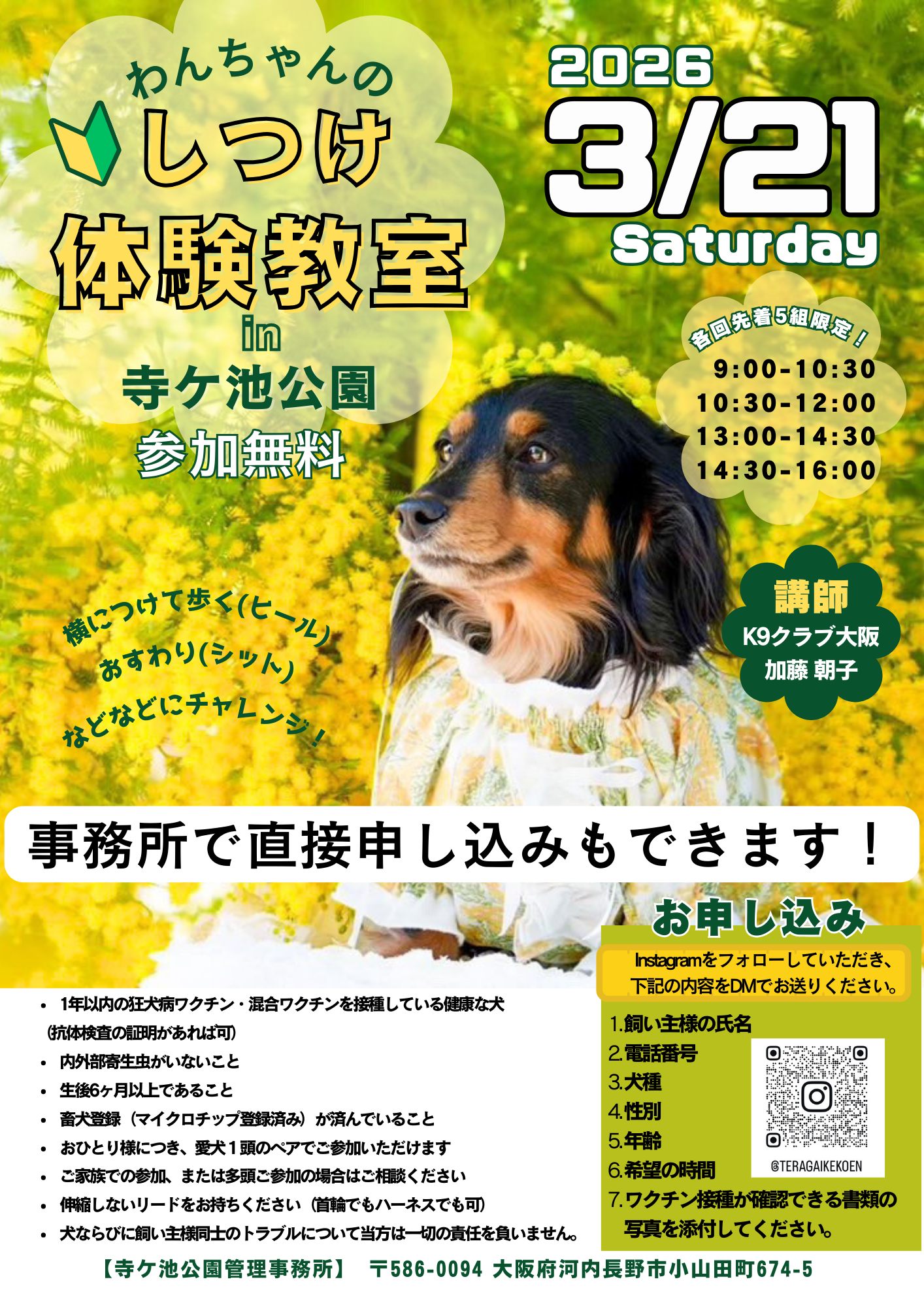 わんちゃんのしつけ体験教室