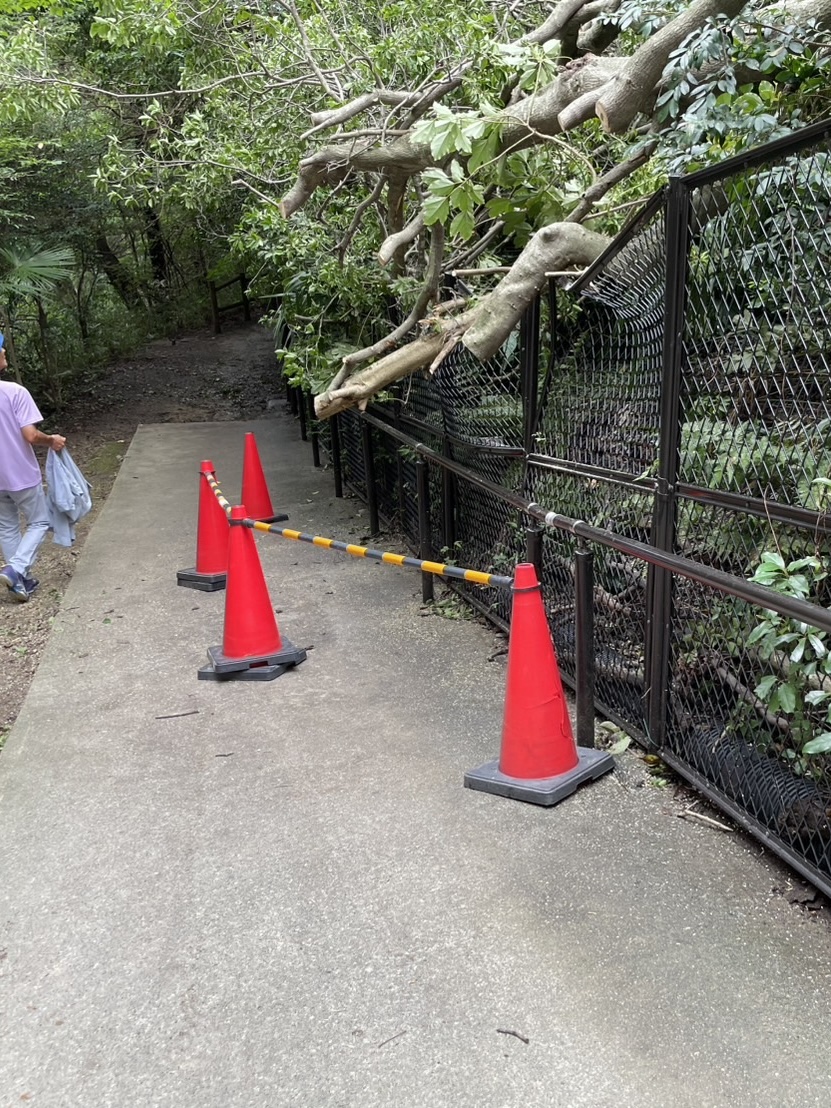 通行再開のお知らせ